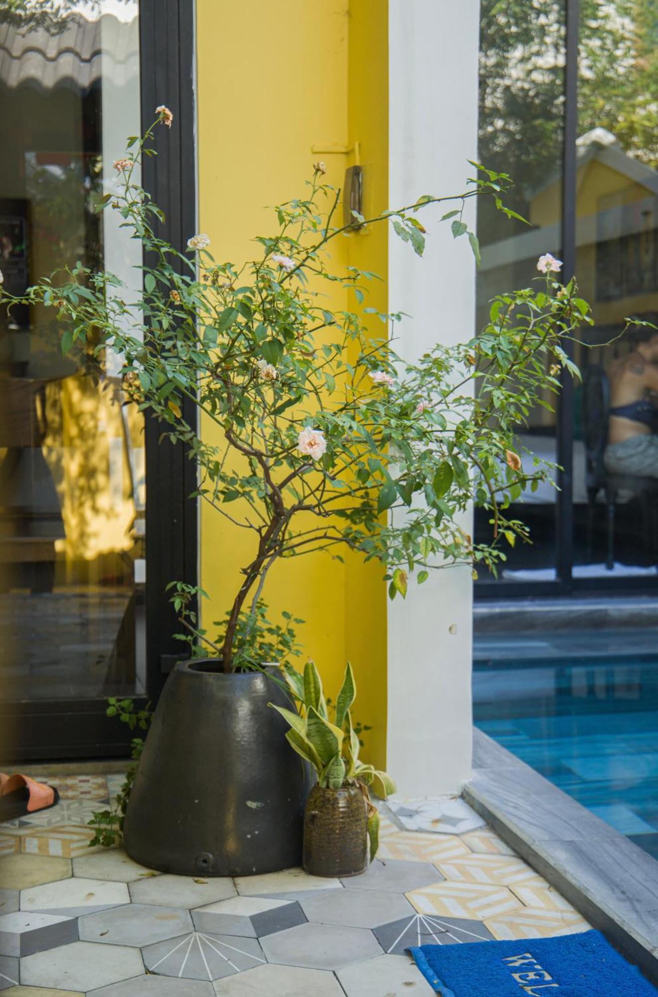 Rosie Villa Hội An Esterno foto